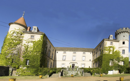 Le château de Mons